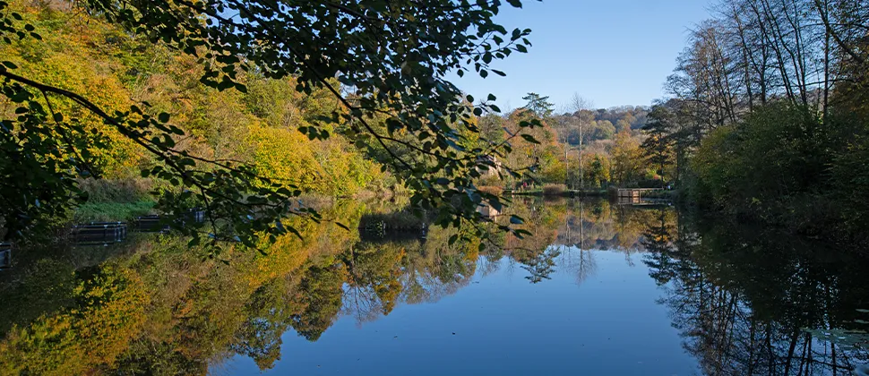 Tucking Mill surrounded by trees