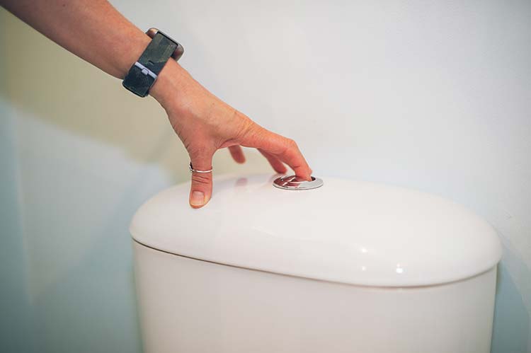 Customer pressing a toilet flush