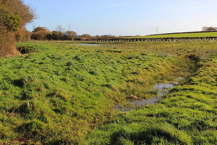 The Upper Tone 360 project will work with those living and working along the river to help improve its quality and that of its tributaries