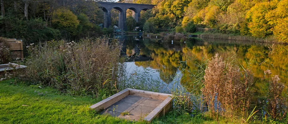 Tucking Mill Fishing Platform 