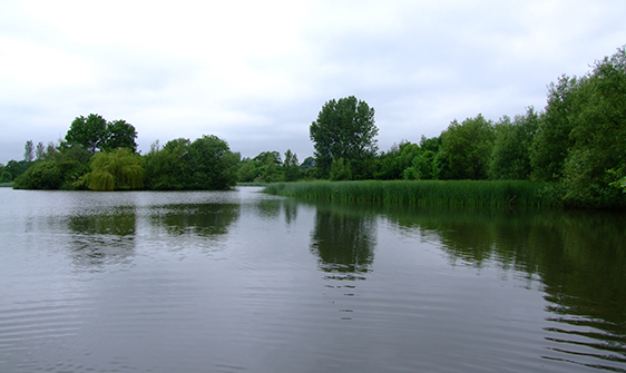 Backwell Lake