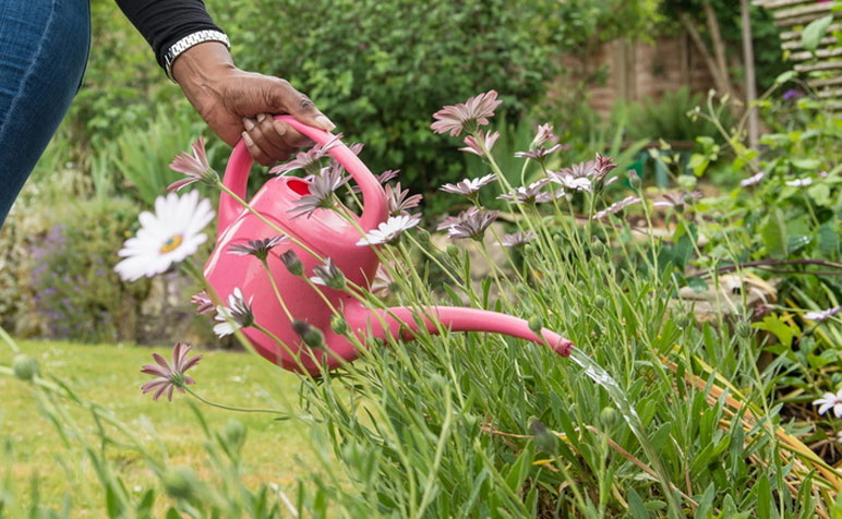 Customer watering flowers with a watering can