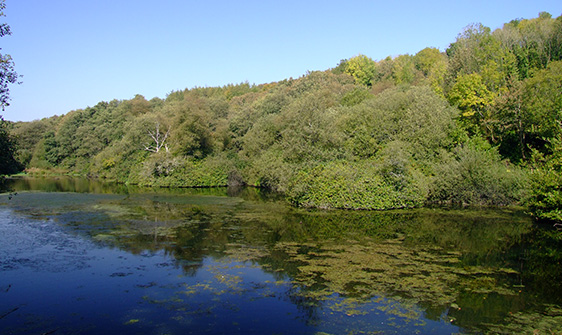 Otterhead Lakes