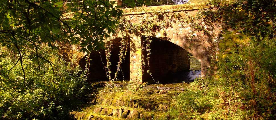 Bridge at Otterhead Lakes