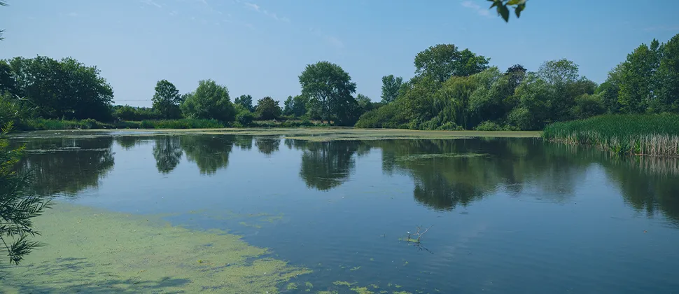 View of Backwell Lake with Blue Skies