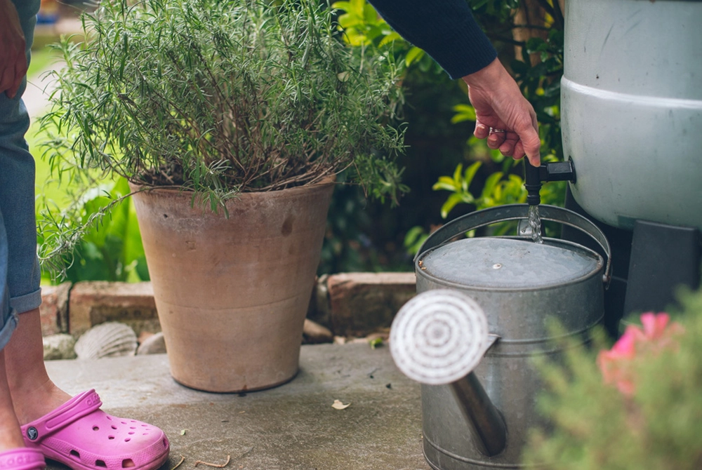 Water saving advice