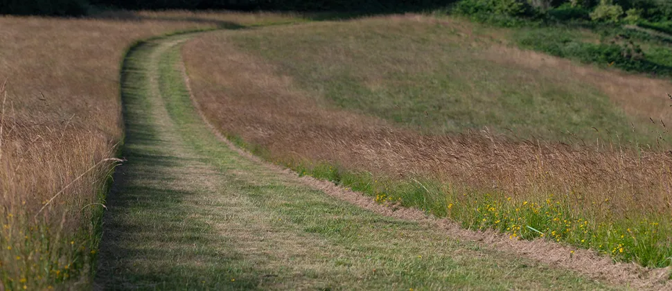 Close up view of the footpath at Clatworthy Reservoir
